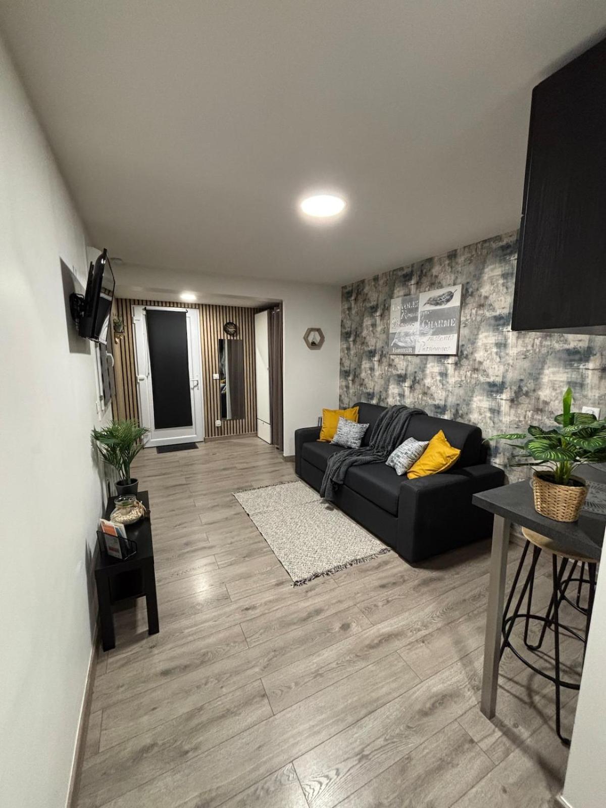 Studio 5Min Airport Roissy Cdg Charles De Gaulle Le Mesnil-Amelot Exterior foto